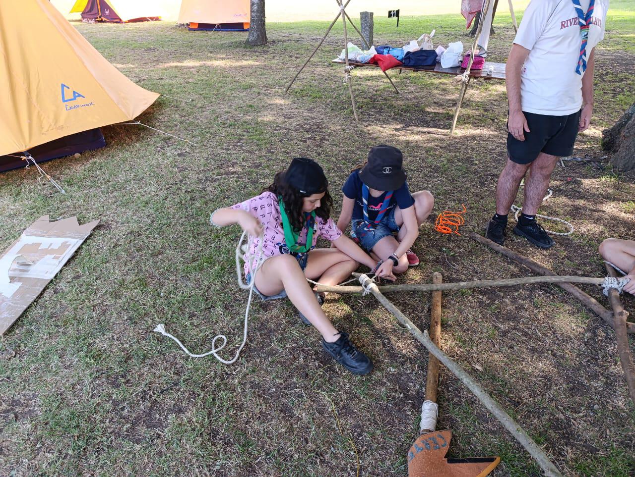 nenas scout