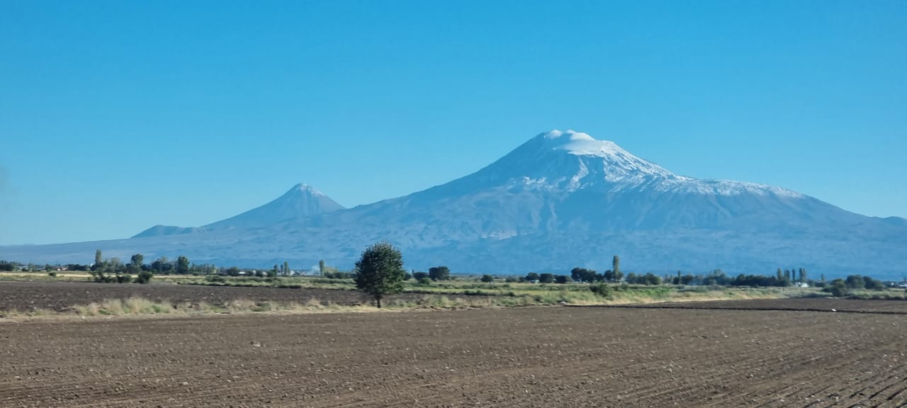 IMM Ararat